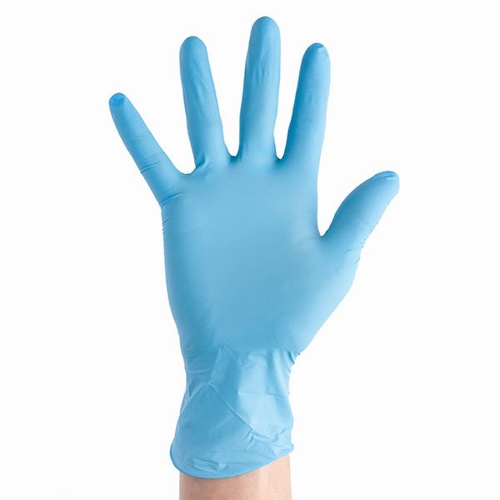 Blue GN300 Nitrile PF Gloves (Pack 200)
